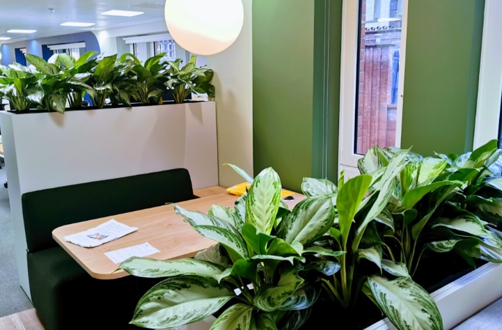 辦公植物租擺