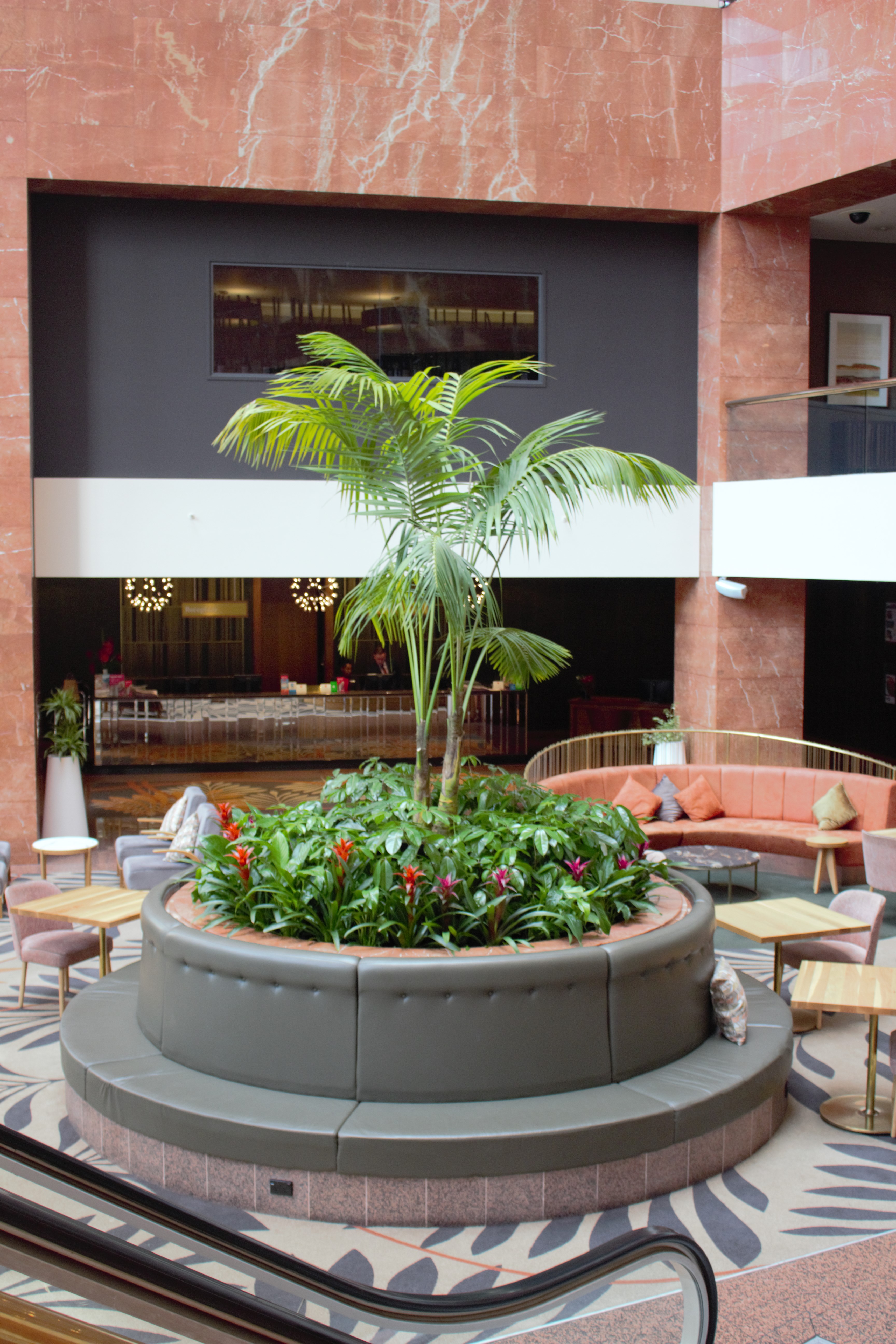 IKP5_IFP2_IBR1___Kentia_Palm__Schefflera_Amate_and_Bromeliad_in_Atrium_Garden___Grand_Millenium_hotel